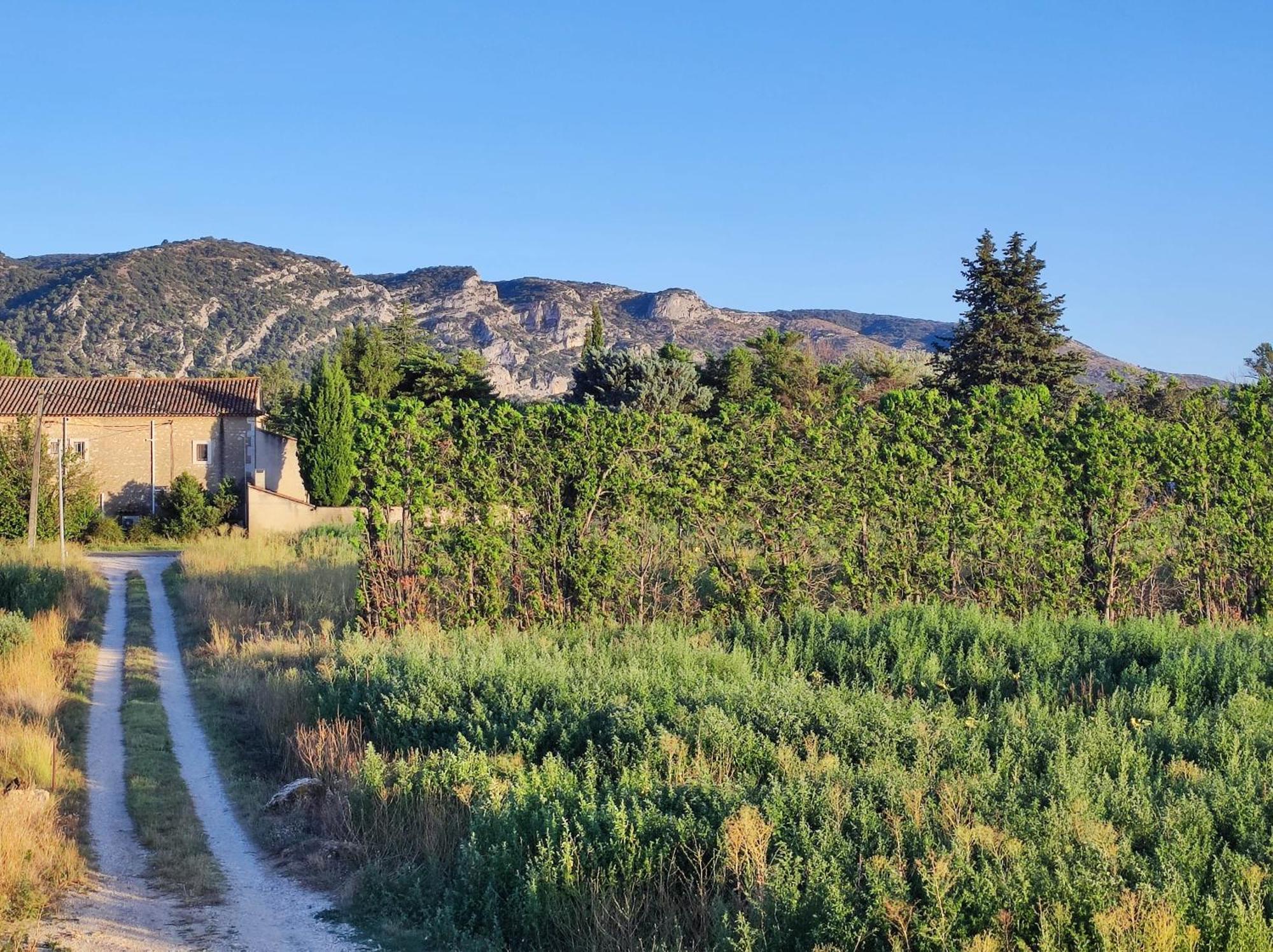 Chambre 3 Personnes Avec Salle De Bain Dans Mas Du Luberon Robion en Luberon المظهر الخارجي الصورة